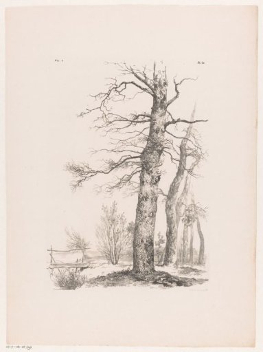 Trees and bridge in a landscape