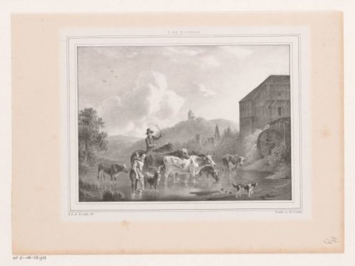 Herd crossing a river