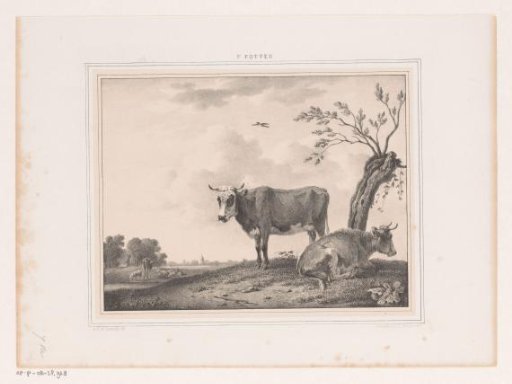 Landscape with oxen
