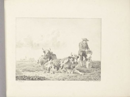 Farmer and two cows in a meadow