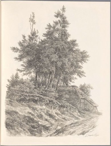 Group of Trees near a Farmhouse