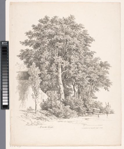 Water's edge with trees and houses