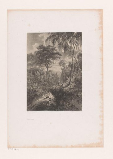 Forest View with Two Deer