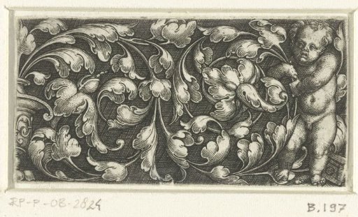 Frieze with Leafy Scrolls and