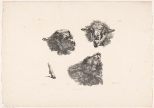 Rams' heads and a hoof