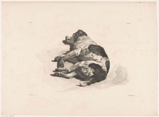 Sleeping dog