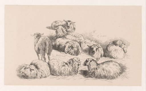 Nine Sheep