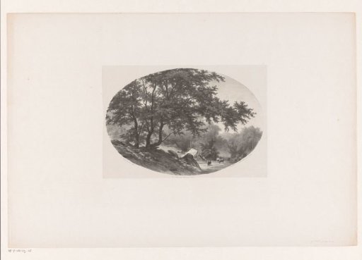 Forest landscape with shepherd and cows