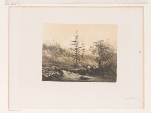 Forest landscape with river