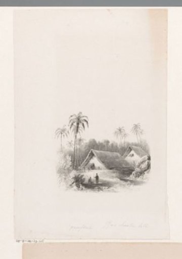 Tropical landscape with houses