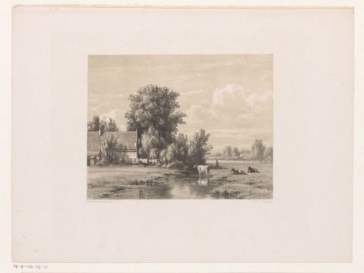 Landscape with a farm and a cow in the water