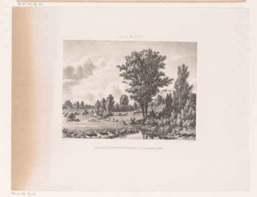 Landscape with cows and a resting shepherd