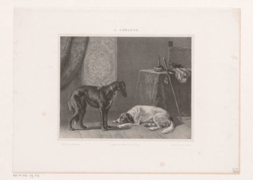 Two Dogs