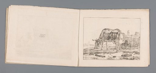 Cow and Sheep