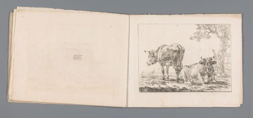 Two Cows