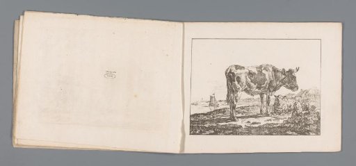 Ox and Sheep