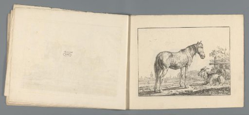 Horse, Goat and Sheep