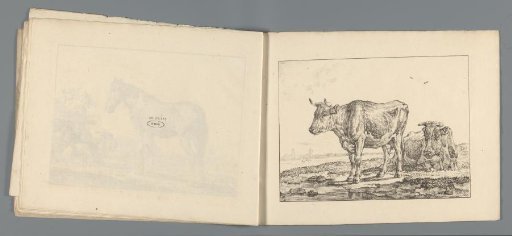 Two Cows