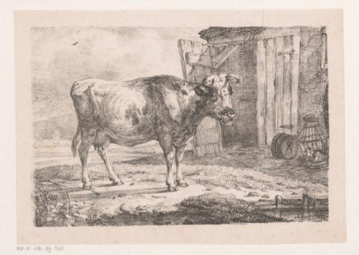 Cow by the Barn
