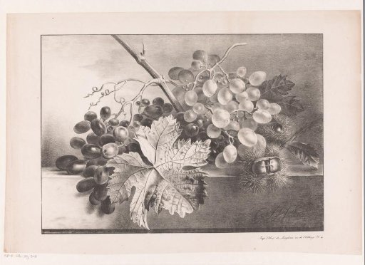 Still life with grapes and chestnuts