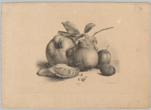 Fruit, plums, and oysters