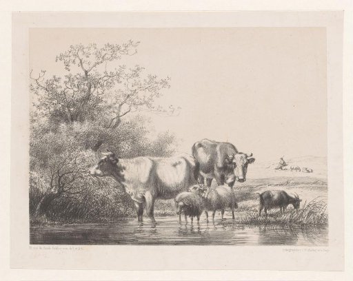 Cows and sheep by a pond