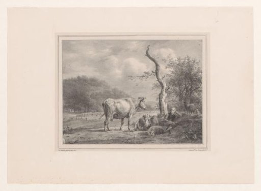 Shepherd with cattle in a meadow
