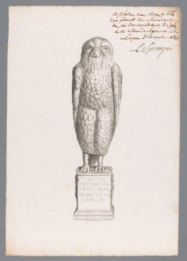Image of an owl