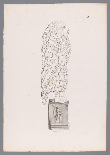 Image of an owl