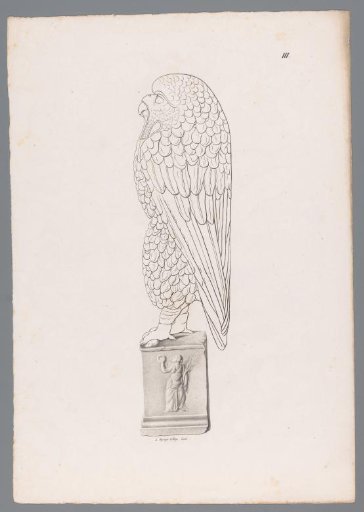 Image of an owl