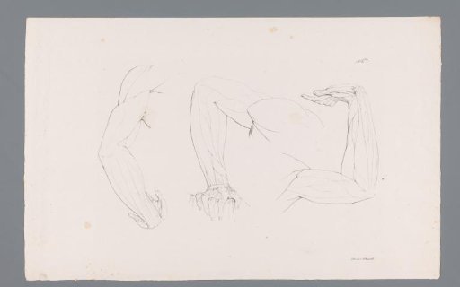 Three Anatomies of a Bent Arm