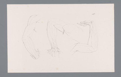 Three Anatomies of a Bent Arm