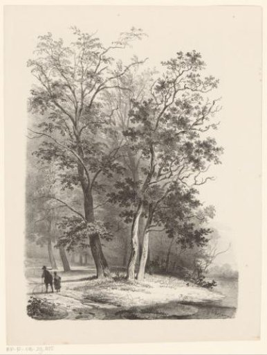 Two figures walking in a wood