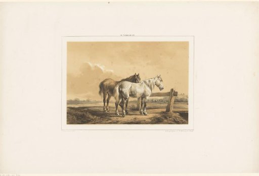 Two Horses in a Meadow by a Fence