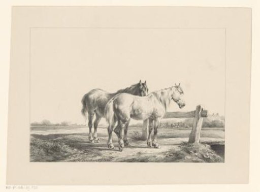 Two Horses in a Meadow by a Fence