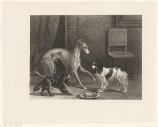 Three Dogs