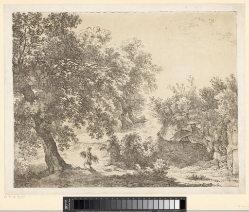 Woman with a bundle of sticks
