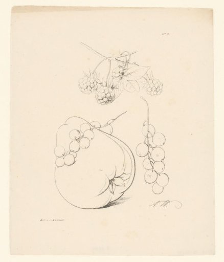 Blackberries, pear and berries