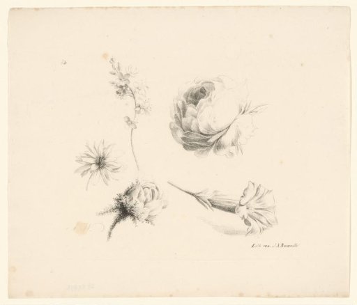 Various flowers including two roses