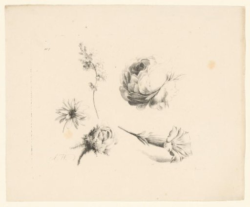 Various flowers including two roses