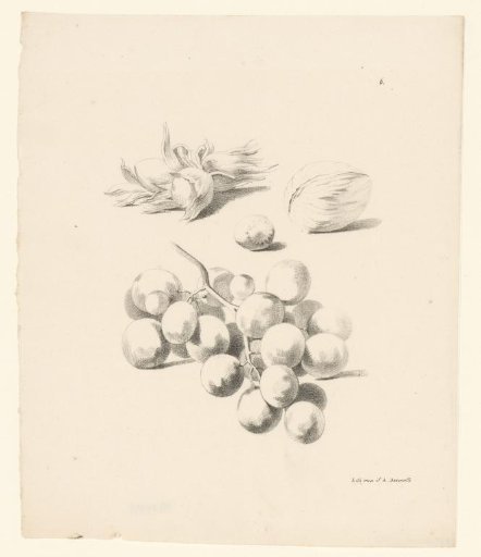 Walnuts, hazelnuts, grapes, and blackberries