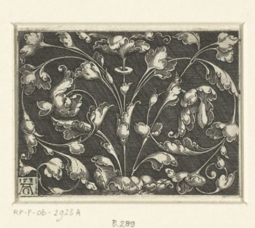 Flat decoration with leafy scrolls