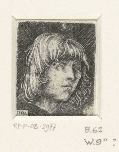 Head of a Young Man