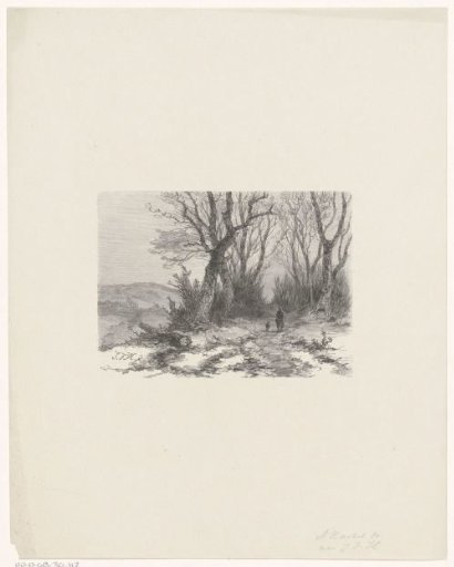 Forest Path with a Man and a Sheep