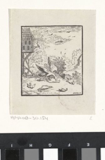Fable of the Doves and the Hawks from Aesop's Fables
