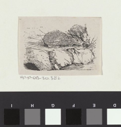 Two Rabbits