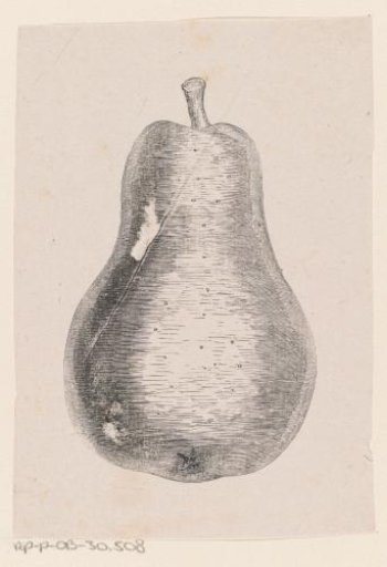 Blighted Pear