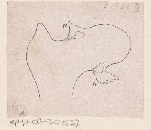 Contour of a human bone with a deformity