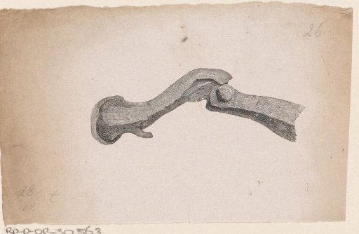 Part of the human body with a deformity