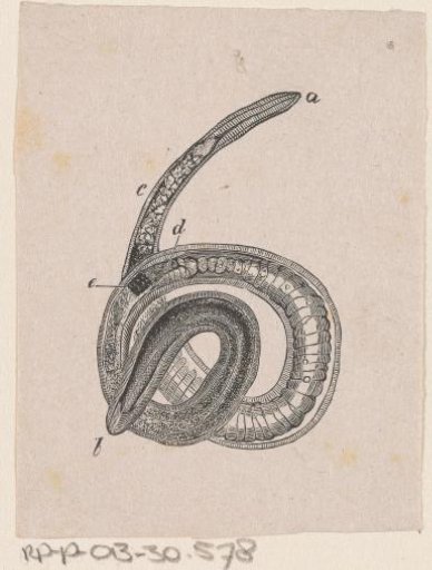 Part of the human body with a deformity